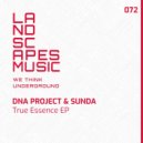 DNA Project & Sunda & Nathania Claire - p.o.r. (Original Mix)