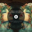 Darío Santäna, Tibetania, Gaston Gallagher - Naturalize (Original Mix)