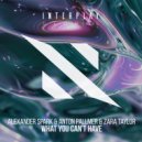 Alexander Spark, Anton Pallmer, Zara Taylor - What You Can\'t Have (Extended Mix)