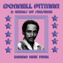 Donnell Pitman & Wings of Sunshine - Do You Wanna (Extended Album Mix)