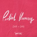 Zar & DRS - Partial Harmony (Original Mix)