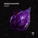 Ignacio Salgado - Poluticx (Original Mix)