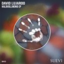 David Lujaroo - Turbulence