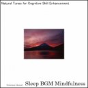 Sleep BGM Mindfulness - Embracing the Night with the Melodies of Brain Frequencies for Peace (Original Mix)