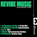 Vicente Belenguer, Pepo WB - Seek Bromance (Original Mix)
