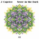 J.Caprice - Never In The Dark (Original Mix)