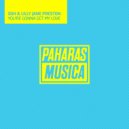 SDH, Lilly Jane Preston - You\'re Gonna Get My Love (Instrumental Mix)