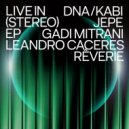Gadi Mitrani - Inra