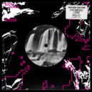 Vintage Culture, Innellea, Paige Cavell - Promised Land (Innellea Remix Extended)