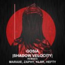 GOSIA - Shadow Velocity