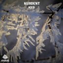 Kujident - Iced (Original Mix)