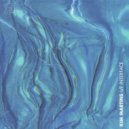 Kim Martins - Forma (Original Mix)