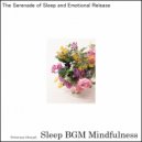 Sleep BGM Mindfulness - Solfeggio Frequencies Melt Mental Tension (Original Mix)