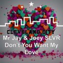 Mr Jay, Joey SLVR - Don\'t You Want My Love (Original Mix)