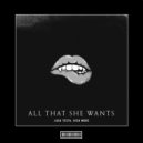 Luca Testa, RICH MORE - All That She Wants (Radio Mix)
