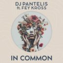 DJ Pantelis, Fey Kross - In Common (Extended Mix)