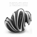 SHADOWRYUKEN! - ULTRASONIC EDGE (Original Mix)