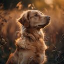 Gentle Dog Music & Gentle Doggy Music & Music For Your Dog - Dogs Rest to Soothing Tones ()