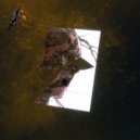 Re-flection - First Flight