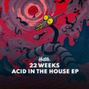 22 Weeks - Party Never Stop (Extended Mix)