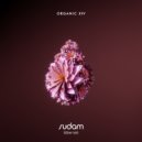 Airon (CA) - Feeling Fine (Original Mix)