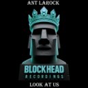 Ant LaRock - Look At Us (Risk Assessment Remix)