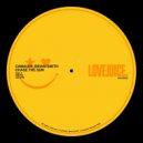 CAMALUK & Brian Smith - Chase The Sun (Extended Mix)