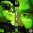 Halley Seidel & Dangellodj - Halley Seidel vs Dangellodj - UNITAS (Original Mix)