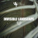 Invisible Landscape - Colors (Original Mix)