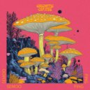 SEMOO - Ping (Original Mix)