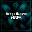 Chris DelNova - Sleepless (Original Mix)