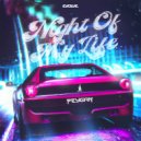 PEYGAN - NIGHT OF MY LIFE (Original Mix)