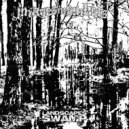 Images In Embers - LANDSCAPES: SWAMP ()