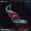 Echomatics - Shine Back