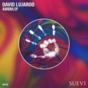 David Lujaroo - Rosenbachiana