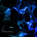 TourerDJ - Exodus of Acid (Original Mix)