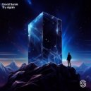 David Surok - Try Again