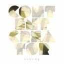 Rouzbeh Delavari - Looking (Original Mix)