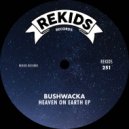 Bushwacka! - Heaven On Earth (Instadub)