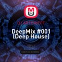 DJ ARTEMIEFF - DeepMix #001 (Deep House) ()