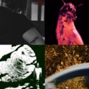 EAGLE!! - GAS YEAH MUSiC ()