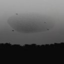 Francis Dhuit - Temporal Anunciado