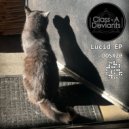 Class-A Deviants - The Birds (Original Mix)