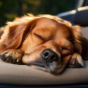Naturaleza apacible & Paz total para animales & Calma profunda en criaturas - Las Melodías De Relajación Para Mascotas Calman