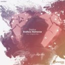 Darius (PL) - Endless Remorse (Original Mix)