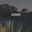 Discknocked - Quadrature