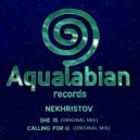 nekhristov - She Is (Original Mix)