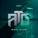VEKY - Save Me (Original Mix)