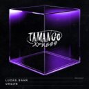 Lucas Bahr - Organ (Original Mix)