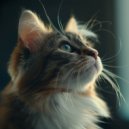 Background Music for Videos & Acoustic Music For Cats & Amazing Music for Cats - Peaceful Purr Melodies